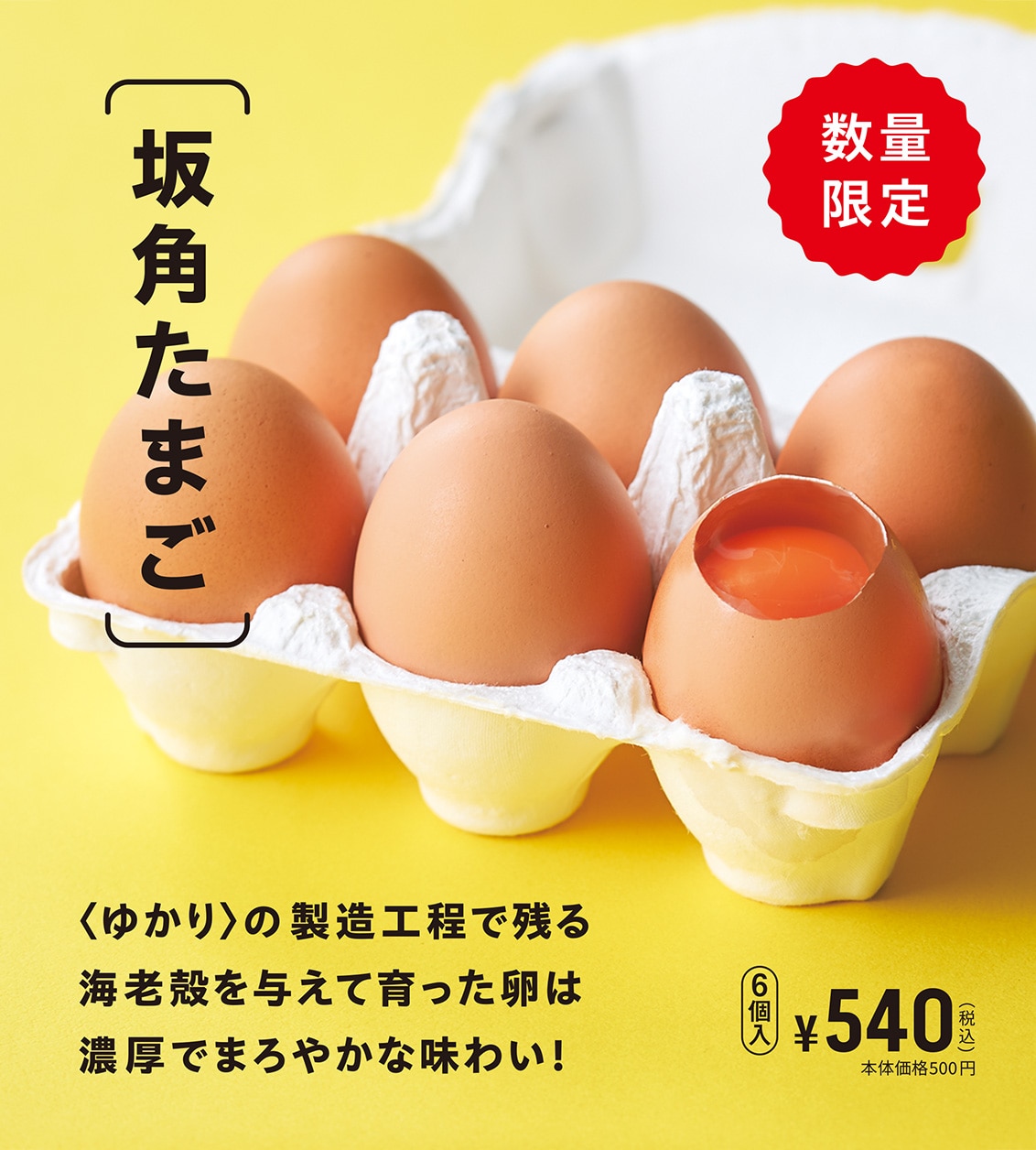 坂角たまご