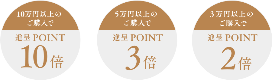 10万円以上のご購入で進呈ポイント10倍、5万円以上のご購入で進呈ポイント3倍、3万円以上のご購入で進呈ポイント2倍